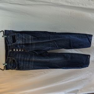 Judy Blue boyfriend fit button fly jeans 18w